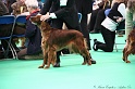 Crufts2011 366